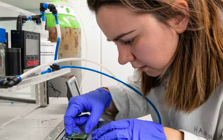 epsrc case studentship epsrc case studentship