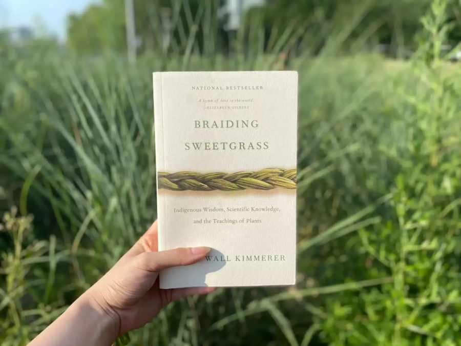 braiding sweetgrass controversy