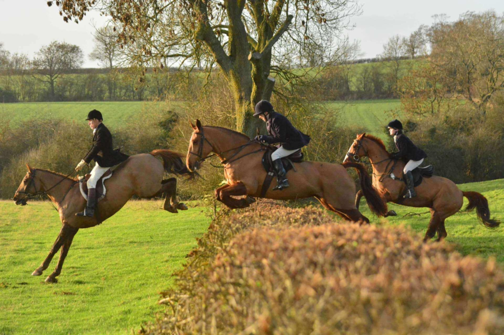 Tedworth Hunt