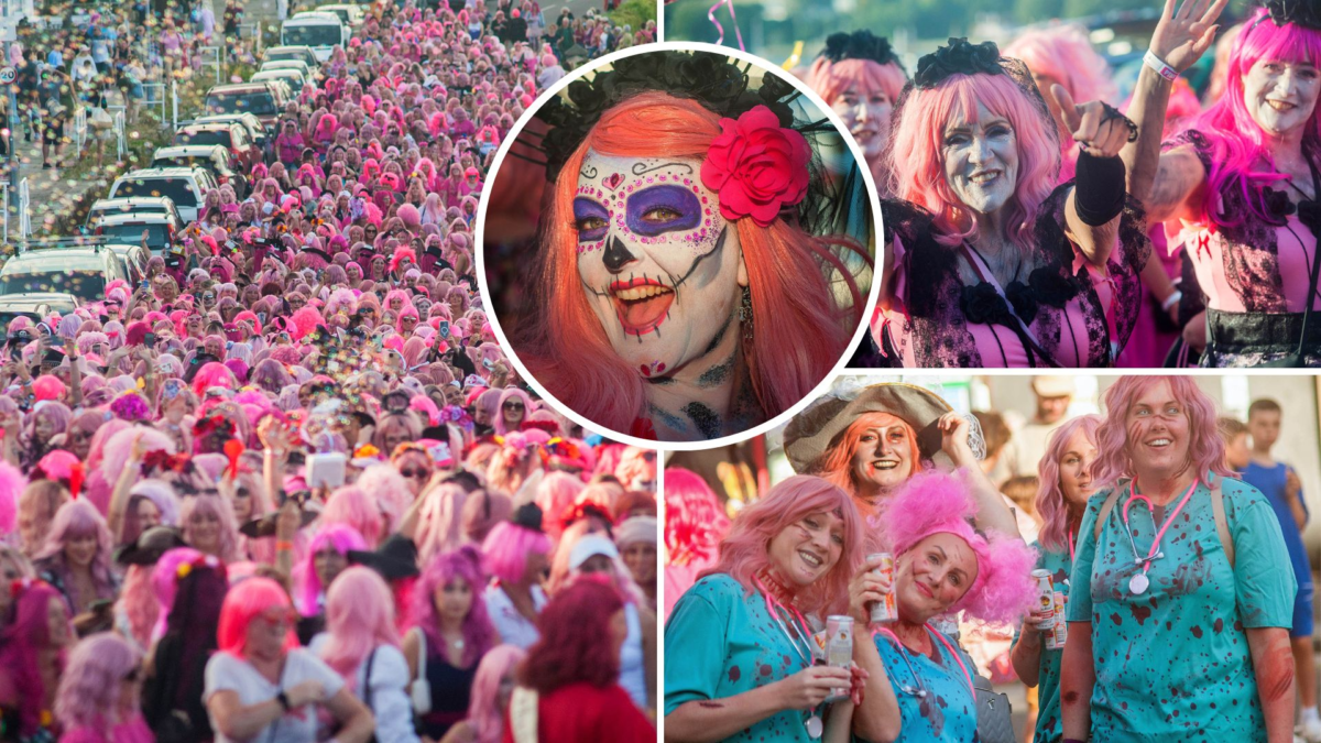 pink wig Falmouth