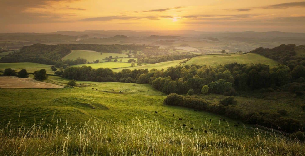 cerys matthews tom jones